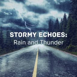 Stormy Echoes: Rain and Thunder - The Sound Of The Rain