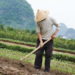 Ethereal Rain at Work: The Piano's Productive Melodies Revealed - Classical New Age Piano Music