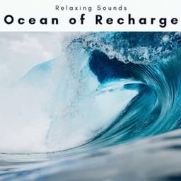 1 Ocean of Recharge - Sleep Tech
