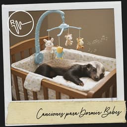 Canciones para Dormir Bebes: Melodias para la luna - Ruido Blanco Hart