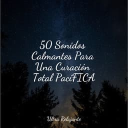 50 Sonidos Calmantes Para Una Curación Total PacíFICA - Sonidos de la Naturaleza Relax