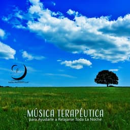 Música Terapéutica para Ayudarle a Relajarse Toda La Noche: Entrenamiento del Sueño y Frecuencias para REM, Ayuda para el Sueño Profundo - Sueño Profundo Club