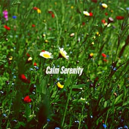 Calm Serenity - Jazz Relajante Clasico