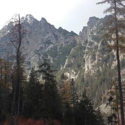 Road to Switzerland - Jazz Café Bar