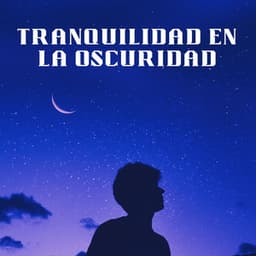 Tranquilidad En La Oscuridad - Colores de la ciudad de Lofi
