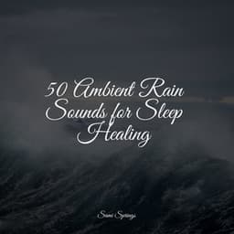 50 Ambient Rain Sounds for Sleep Healing - Binaural Creations
