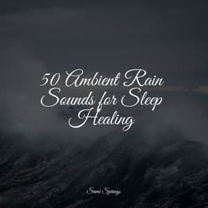 50 Ambient Rain Sounds for Sleep Healing - Binaural Creations