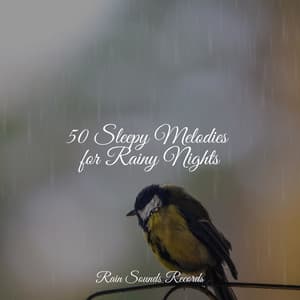 50 Sleepy Melodies for Rainy Nights - Lullabies for Deep Meditation