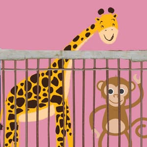 Spectacular Jazz Organ - Bgm for Breathing Moment - Latin Chill Out