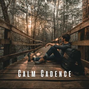 Calm Cadence: Music for Mindful Relaxation - Calming Noises