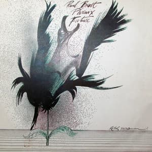 Phoenix Future - Paul Brett