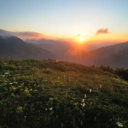 Serenity Unveiled: Nature's Melodic Euphony Resonates - cloudy night