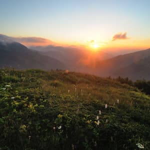 Serenity Unveiled: Nature's Melodic Euphony Resonates - cloudy night