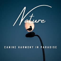 Paws in Paradise: Gentle Sounds - Dog Harmony