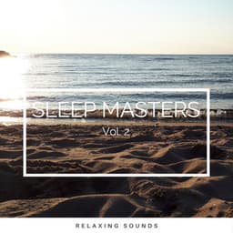 2022 Sleep Masters Vol. 2 - World Recorders
