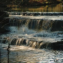 Melodías Tranquilas De Meditación Para Un Enfoque Sereno - Cuencos cantores del Tíbet