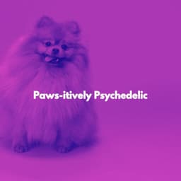 Paws-itively Psychedelic - Weekend Jazz Chillout