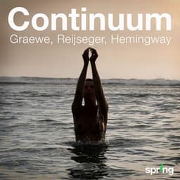 Continuum - Ernst Reijseger