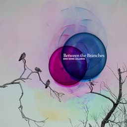 Between the Branches - Bird Song Lullabies