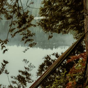 1 Ambient: Forest Stream - Baltic Nature Sounds