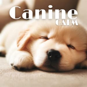 Canine Calm: Music to Help Dogs Relax and Unwind - Calm Animals Music