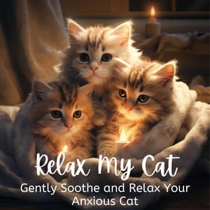 Relax My Cat - Gently Soothe and Relax Your Anxious Cat - Amman Ahmed