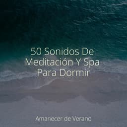 50 Sonidos De Meditación Y Spa Para Dormir - Zen Music Garden