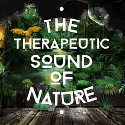 The Therapeutic Sound of Nature - The Healing Sounds of Nature