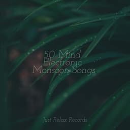 50 Mind Electronic Monsoon Songs - Instrumental