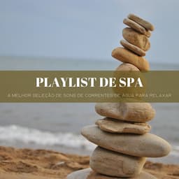 Playlist De Spa: A Melhor Seleção De Sons De Correntes De Água Para Relaxar - Música Para Cães Adormecidos