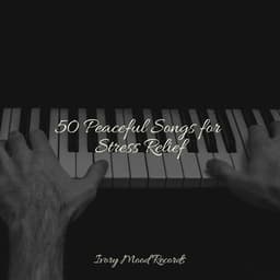 50 Peaceful Songs for Stress Relief - Ivory Mood
