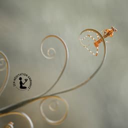 Lueur d’Étreinte - Zen Méditation Ambiance