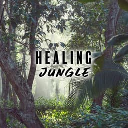 Healing Jungle: Tropical Relaxation, Forest, Natural Atmosphere - Harmony Nature Sounds Academy