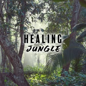 Healing Jungle: Tropical Relaxation, Forest, Natural Atmosphere - Harmony Nature Sounds Academy