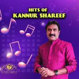 Hits of Kannur Shareef - Kannur Shareef