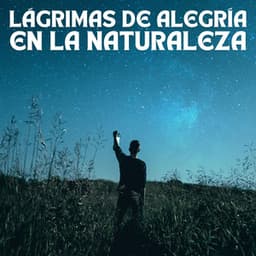 Lágrimas De Alegría En La Naturaleza - Sonidos de Timmy para dormir