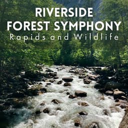 Riverside Forest Symphony: Rapids and Wildlife - Forest Sounds