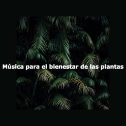 Música para el bienestar de las plantas - Toronto Coffee Shop Jazz