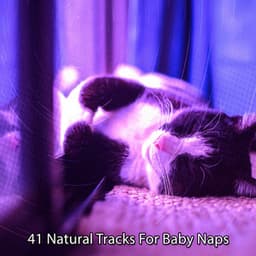 41 Natural Tracks For Baby Naps - Sleepy Night Music