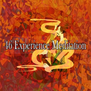 46 Experience Meditation - Exam Study Classical Music Orchestra