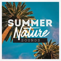 Summer Nature Sounds - Nature Sound Collection