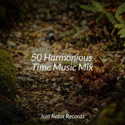 50 Harmonious Time Music Mix - Exam Study Classical Music