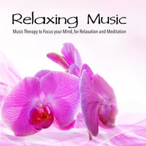 Relaxing Music - Music Therapy to Focus your Mind, for Relaxation and Meditation - Relaxation Meditation and Spa