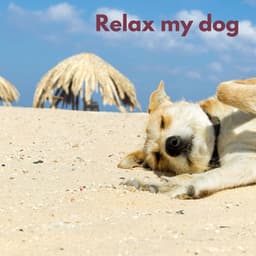 Dog Chill - Sleepy Pets