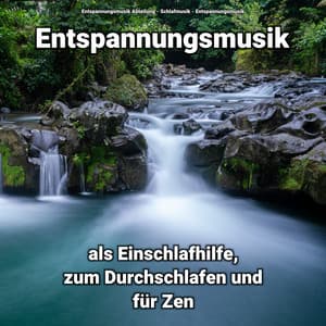 ! ! ! ! ! Entspannungsmusik als Einschlafhilfe, zum Durchschlafen und für Zen - Entspannungsmusik Abteilung