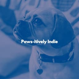 Paws-itively Indie - Chill Playlist