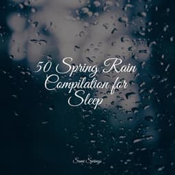 50 Spring Rain Compilation for Sleep - Binaural Creations