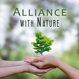 Alliance with Nature: Inner Calmness Meditation in Nature Setting - Relaxing Nature Sounds Collection