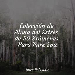 Colección de Alivio del Estrés de 50 Exámenes Para Pure Spa - Naturaleza Relajacion