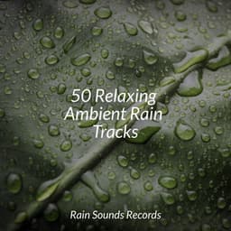 50 Relaxing Ambient Rain Tracks - Relaxation